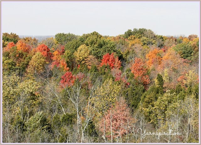 "Скинуло кафтан зелёный лето..." - Игровые куклы Magic Attic Club от Robert Tonner (фото 9)