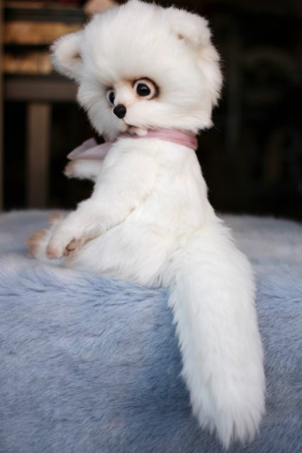 Арктический Лисенок Иэн — Авторские мишки Тедди и друзья: фото (фото 8)