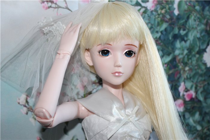 Закрыто. Совместная закупка №9 игровых шарнирных кукол "Звезды Подиума".Новинки, новые молды