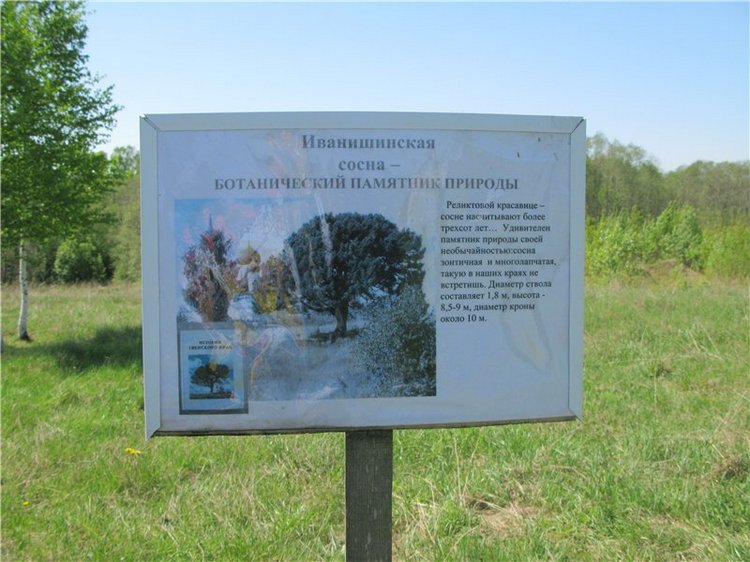 Субботний вояж. Часть первая