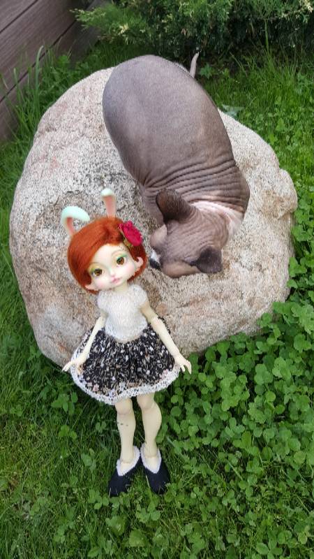 Василиса Морковкина — Куклы Lillycat (Лиликет) (фото 7)