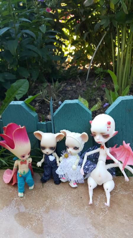 Большая свадьба Панг-Панга и Джулии