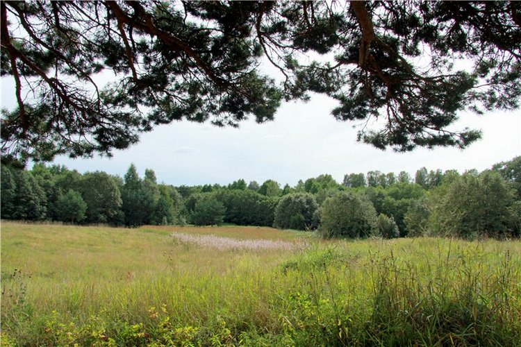 Иваниши. Храм Успения Пресвятой Богородицы