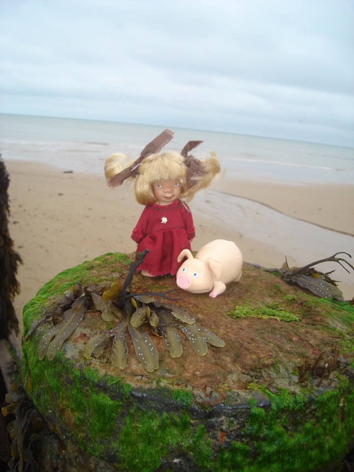 Мои маленькие троллики от Susi Eimer (фото 10)