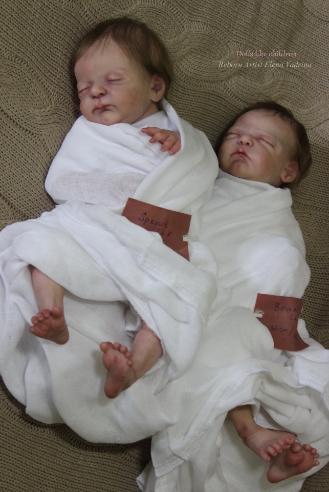 Малыши Bean & Sprout. Куклы реборн Елены Ядриной (фото 6)