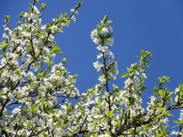 И вновь Хелена посещает логопедический кабинет... а заодно и рассматривает садик