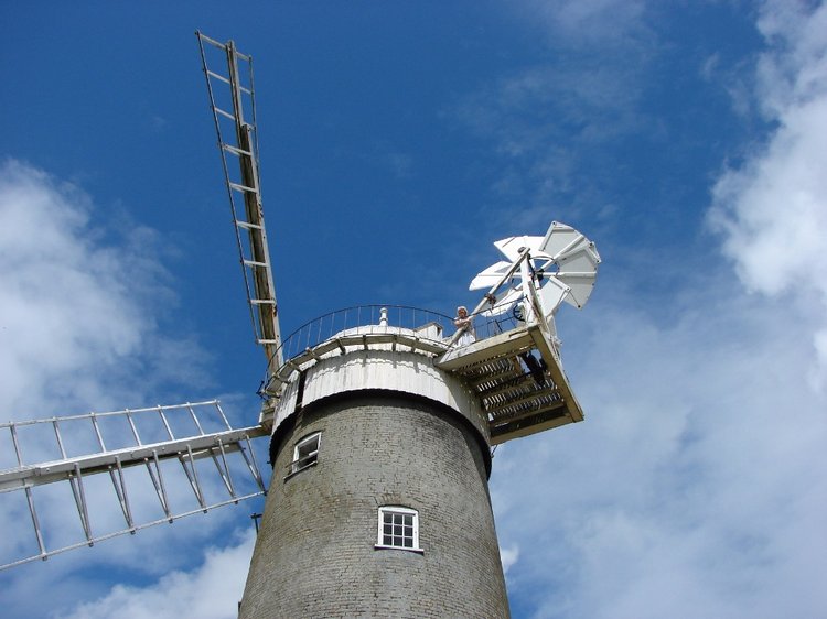 Как Пенни и Машка мельницу осматривали