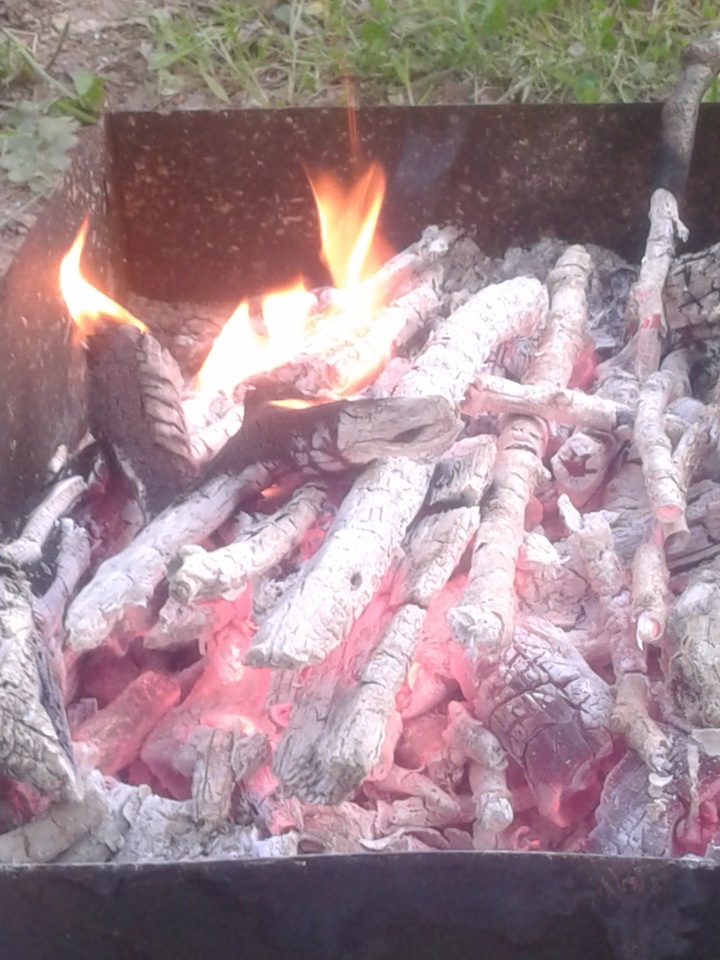 Природа Пскова: из весны в лето