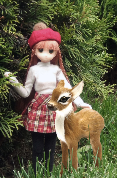 Тинка в экопарке — Куклы и тела Obitsu (Обитсу): 1/6
