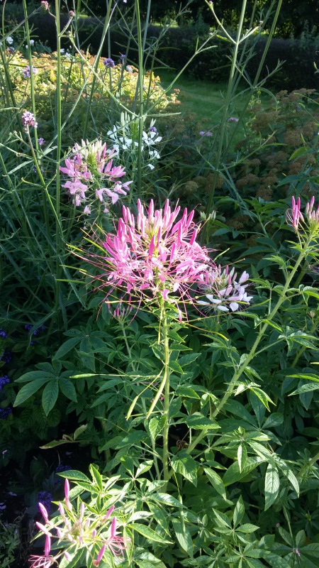 "Есть на Москве места такие..." ч.2. Тайны Коломенского оврага