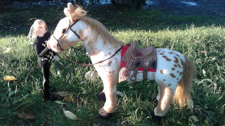 Зимнее солнце. Глава 6. Дом там, где сердце (фото 8)