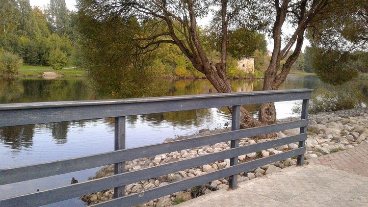 Зимнее солнце. Глава 6. Дом там, где сердце