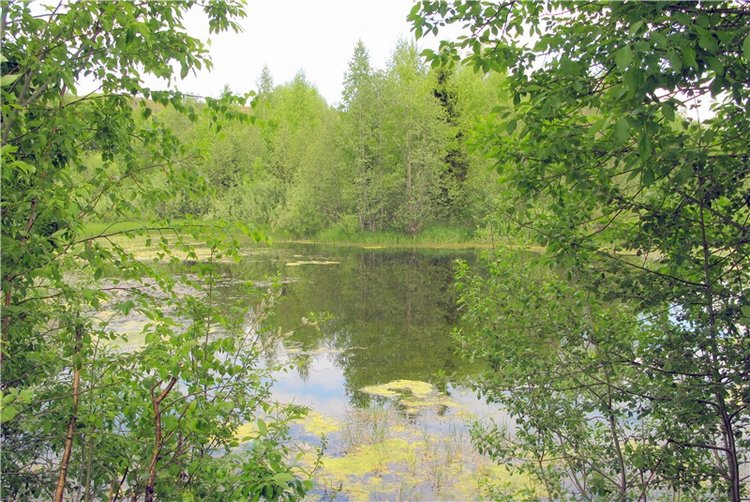 Тверской Водопад — Туризм и путешествия: фотоотчеты из поездок