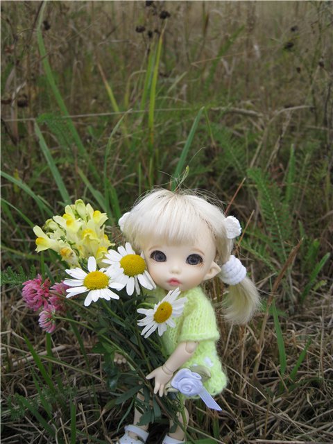 Маленькая дачница! Пукифи Анте Элис | Бэйбики Маленькая дачница! Пукифи Анте Элис