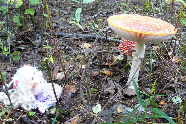 Осенняя сказка. Часть 1. (PukiFee Ante Ариэтти, PukiFee Bonnie Ариэль) | Бэйбики Осенняя сказка. Часть 1. (PukiFee Ante Ариэтти, PukiFee Bonnie Ариэль)