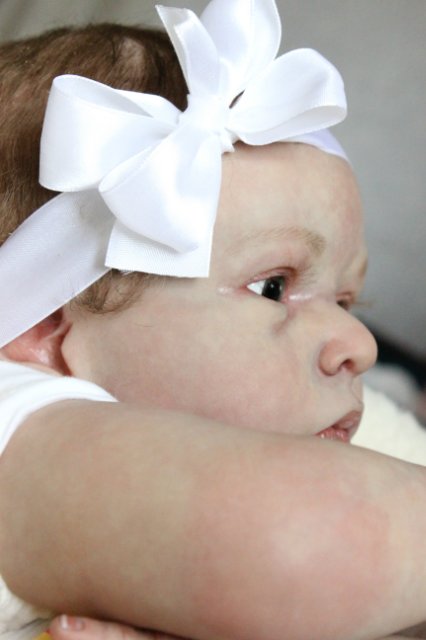 Принцесса Диана, куклы реборн Беспаловои Жанны