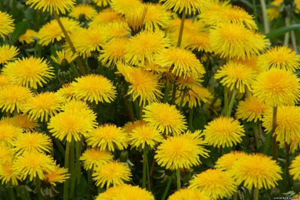 одежда для кукол Galoob — Baby Face