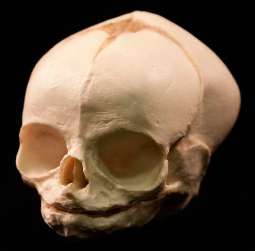 Немножко анатомии: Лепка и роспись кукол-детей