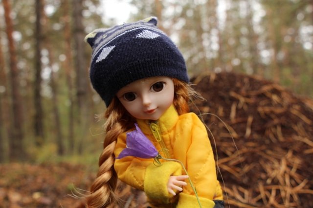 По грибы. Бузулукский бор