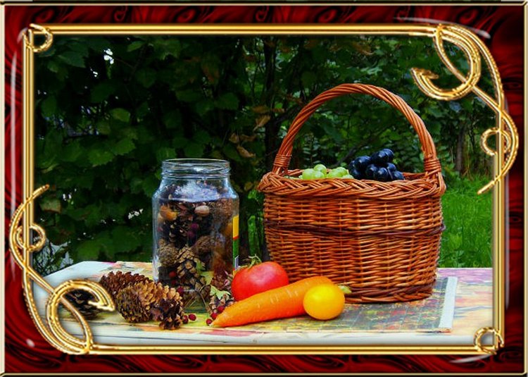 Приключения Маши | Бэйбики Приключения Маши — Болталка и разговоры обо всем: жизнь