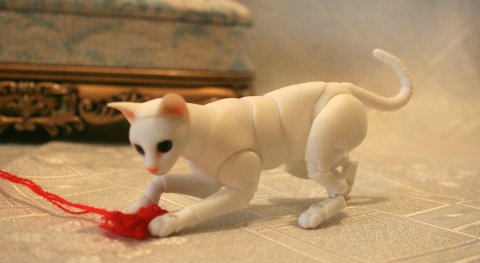 БЖД питомец - кот Као-Мани (фото 5)