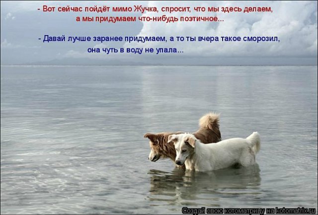 Понедельник - день тяжёлый | Бэйбики Понедельник - день тяжёлый