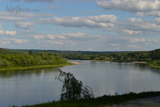 Вихтели в Тарусе. Леон и Кристель от Schildkroet