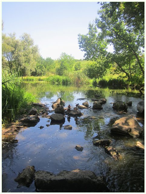 Из жизни гномиков Rosemarie Anna Muller (фото 6)