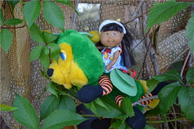 Лето прошло, а фоточки остались