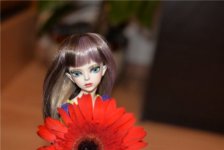 Новый облик Фелис — Куклы Doll Leaves (Долл Ливз): BJD (БЖД) (фото 8)