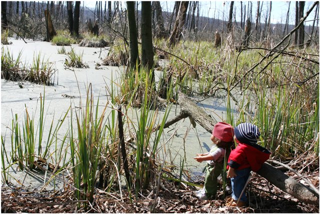Небольшой поход Вихтелят на Ирдынские болота (фото 9)
