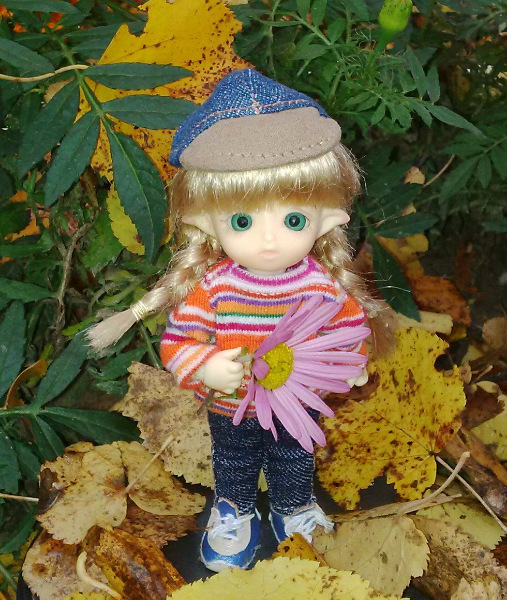 И снова Юлька — Куклы Brownie (Брауни) Felix Doll: Tiny BJD (БЖД) (фото 5)