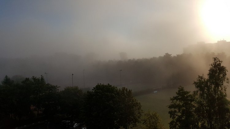 Вид из моего окна, KARLSRUHE