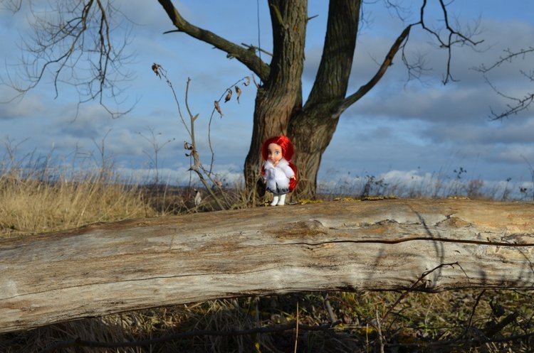 Мини дисней аниматорс - Ариэль на прогулке