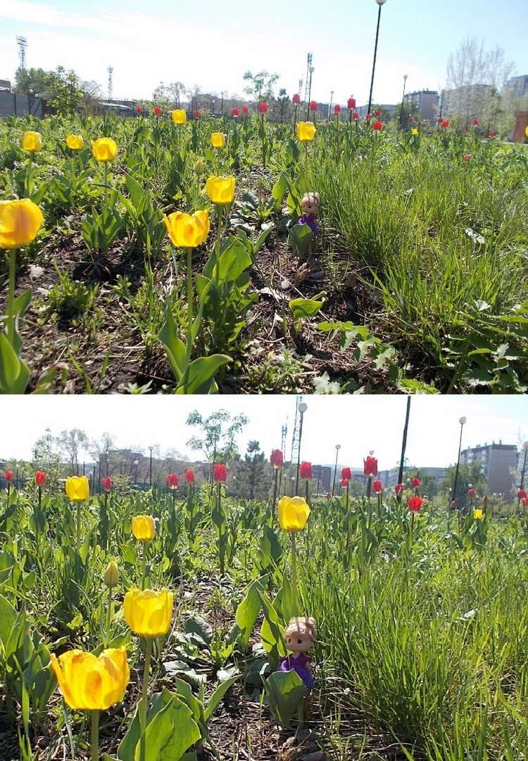 Майские денёчки — Болталка и разговоры обо всем: жизнь (фото 10)