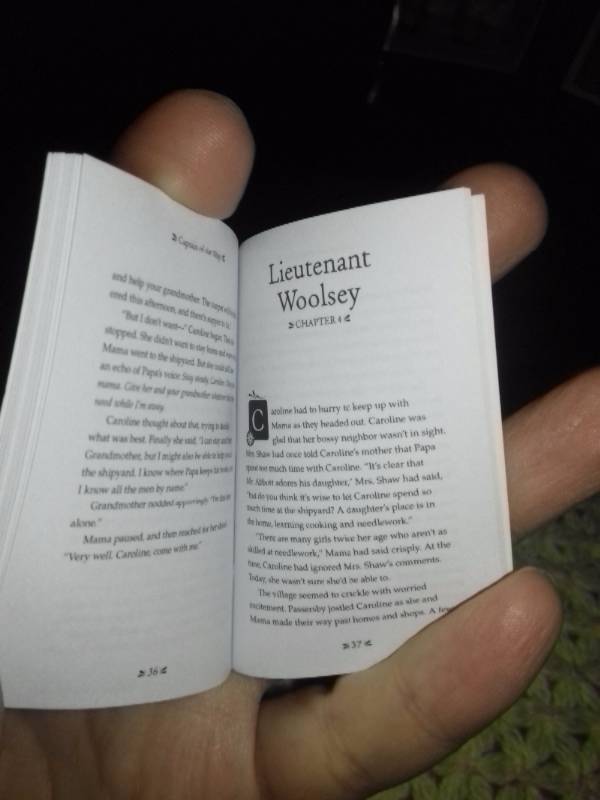 Обзор кукол мини American girl. Часть 6. Кэролайн Абботт и Габриэла Макбрайд