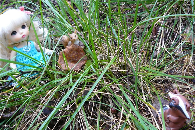 Осенняя сказка. Часть 2. (PukiFee Ante Ариэтти, PukiFee Bonnie Ариэль) | Бэйбики Осенняя сказка. Часть 2. (PukiFee Ante Ариэтти, PukiFee Bonnie Ариэль) (фото 8)