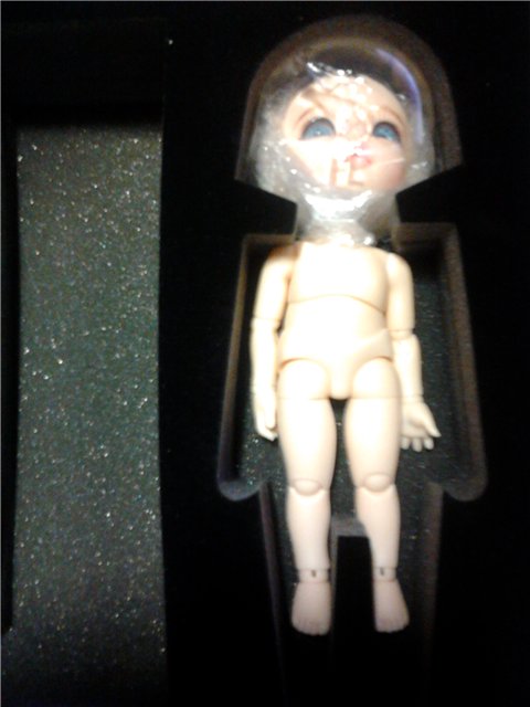 Моя первая БЖД Пукифи Анте (фото 3)