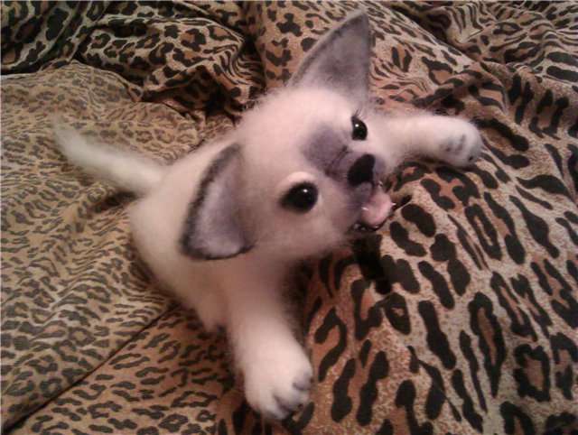 Новенький кот! Игрушка валянием из шерсти (фото 4)