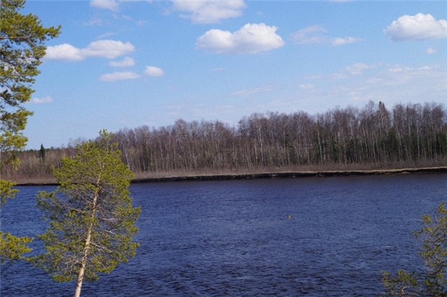 А у нас случилась... ЛЮБОФ... Куклы БЖД