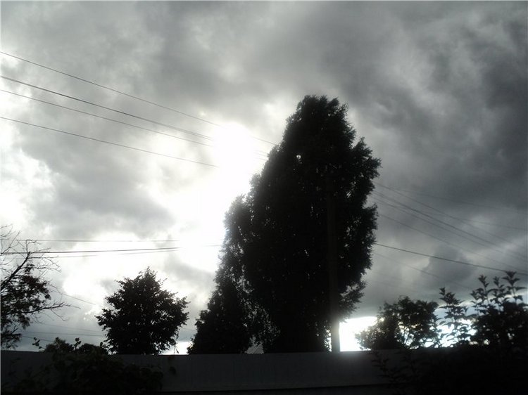 Ждем лета и верим в чудо! Куклы Готц и наряды (фото 8)