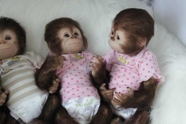 Развеселая компания (или мини-зоопарк)! Куклы реборн Вишни Виктории