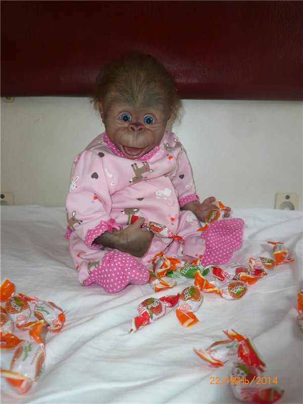 Анфисочка! Кукла - реборн - обезьянка Светланы Преображенской. Часть первая (фото 6)