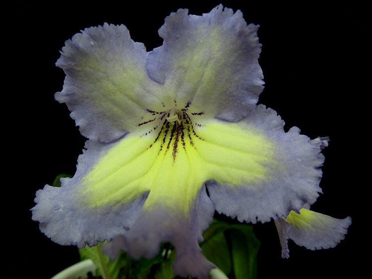 Еще немного о сумасшествии