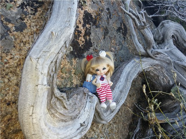 Сибинские озера. Фросенька-эльф высокогорный. ReaiPuki Pupu