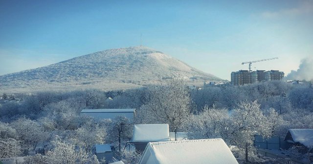 Как-то раз под Новый Год... Часть первая. Куклы реборн Елены Ядриной