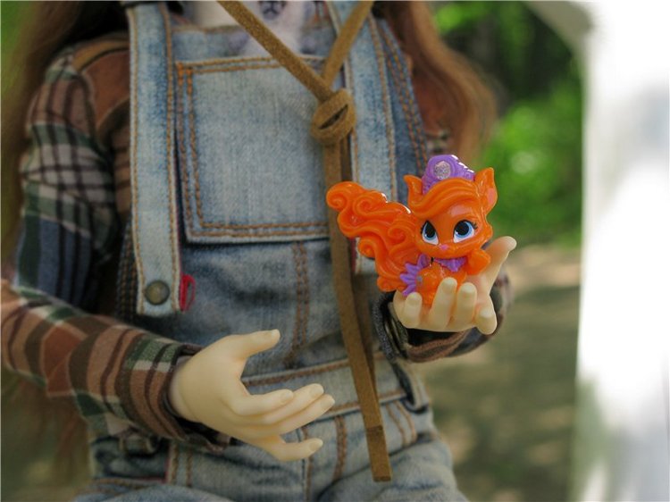 Субботний вояж. Заключительная часть