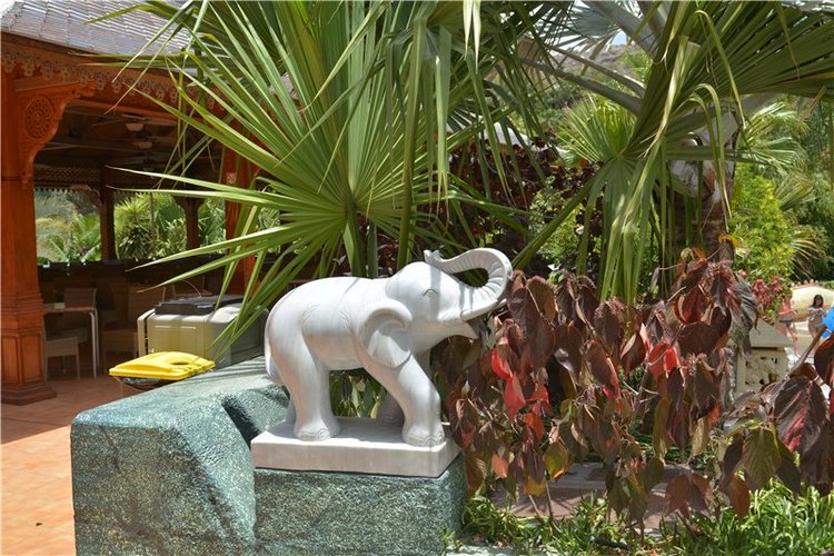 Испания. Тенерфе. Часть 3. Сиам парк (фото 3)