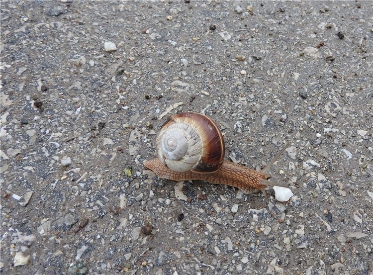 Любителям маленьких кукол