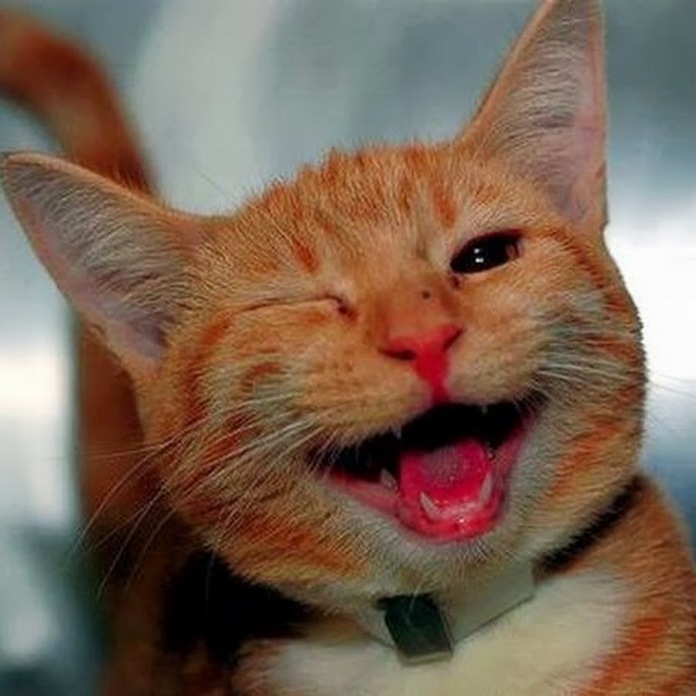 Как я переживаю, когда узнаю, что куколка мне не достанется…